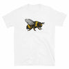 {product_title} from Infinitees